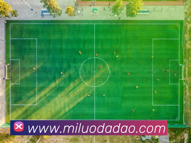 体育App